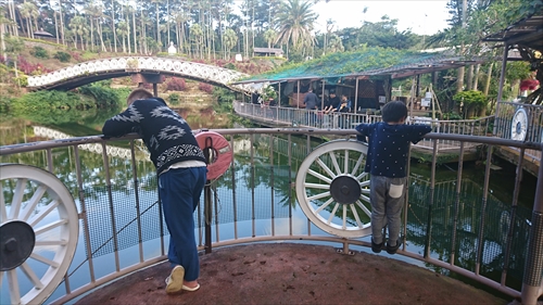 10日・東南植物楽園の光の散歩道！